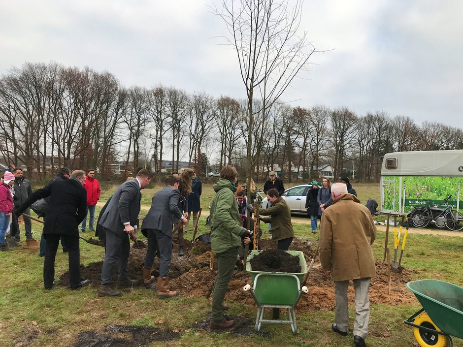 Bestuur Carolus Magnus plant op 14 december 2018 eerste boom: Winterlinde (Tilia cordata)