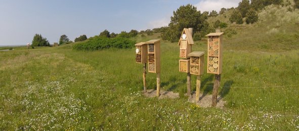 Nieuwe insectenhotels aan de voet van de vuurtoren Vlieland