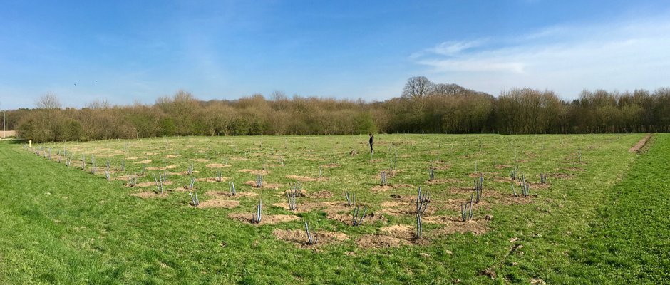 NL Bloeit!  jonge aanplant 300 inheemse bomen en struiken smulbos Malden 1 april 2017
