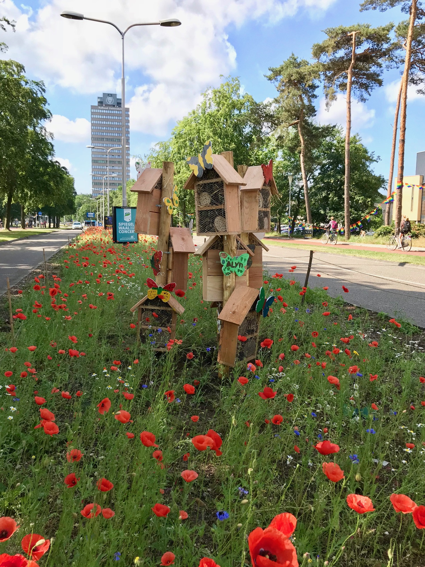 Nederlandse planten