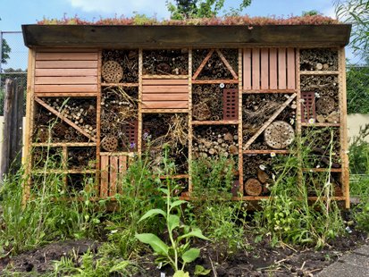 NL Bloeit! Insectenhotel voor bijen en vlinders basisschool De Driemaster Nijmegen