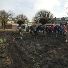 Wilde plantenborder Nijmegen