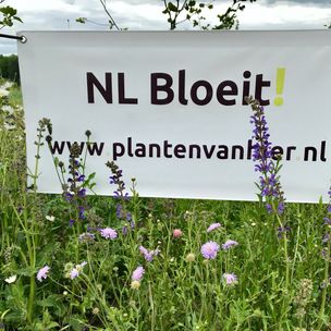 NL Bloeit - kwekerij entree